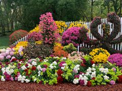 -上海共青森林公园