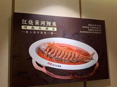 -阿五黄河大鲤鱼(英协路店)