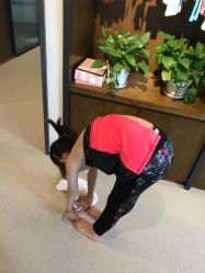 -FineYoga梵音瑜伽·普拉提