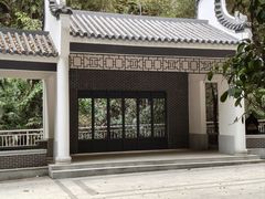 -滴水岩森林公园