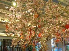 -东方之珠洗浴休闲广场(南开店)