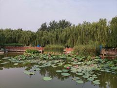 -丰台科技园生态主题公园