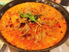 -付掌柜在成都·热炒砂锅集(金禾店)