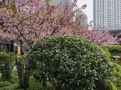 -江宁织造博物馆