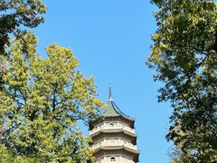 -灵谷景区