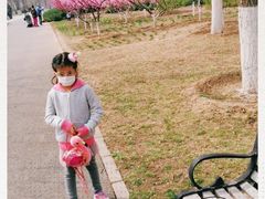 -永定河休闲森林公园