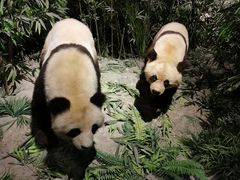 -长江文明馆