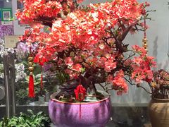 -双季花艺园艺市场(浦东店)