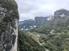 -鹿院坪生态旅游景区
