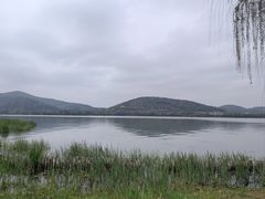 -长广溪湿地公园