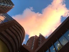 -香港大学
