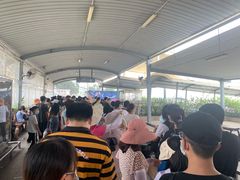 -厦门邮轮中心厦鼓码头(轮渡站)