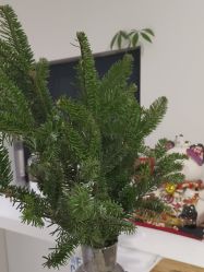 -JNK皮肤管理中心