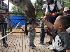 -昆明动物园