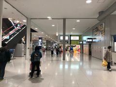 -关西国际机场直营免税店