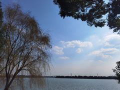 -漕湖湿地公园