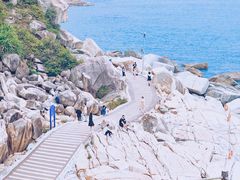 -广东惠东海龟国家级自然保护区