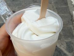 -洪馨椰子