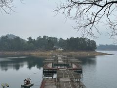 -千岛湖东南湖区