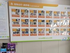 -瑞鹏宠物医院·骨外科·心肾科·肿瘤科(九亭店)