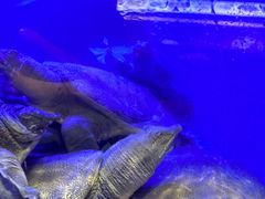-王捌小院(红花坡店)