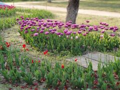 -祥源·阜阳生态乐园