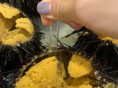 -海胆小馆(东北水饺·春柳店)