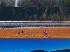 -迪庆藏族自治州博物馆