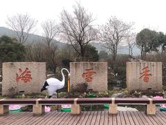 -香雪海