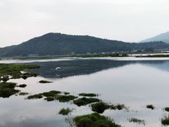 -腾冲北海湿地