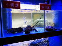 -小龍鳳·港式海鲜打边炉(沙湖路店)