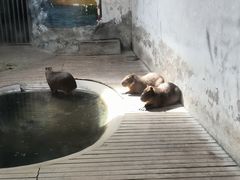 -石家庄市动物园