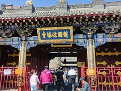-护国法轮寺
