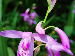 -上海滨江森林公园