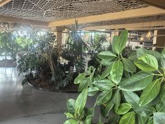 -云里小坐·海泉湾·团建·宴席·下午茶(金堂海泉湾店)