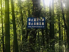 -敬亭山风景名胜区