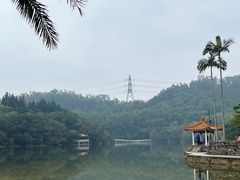 -深圳仙湖植物园