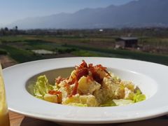 -翠田Green Field Kitchen