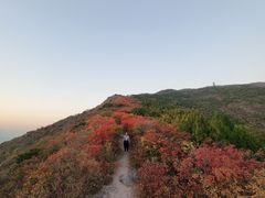 -北京十三陵国家森林公园蟒山景区