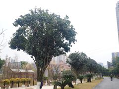 -沐仙湖湿地公园