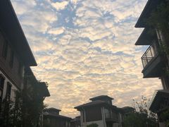 -美的鹭湖森林度假区