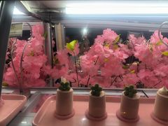-昆明南亚风情园豪生大酒店-泰式国际海鲜自助餐厅