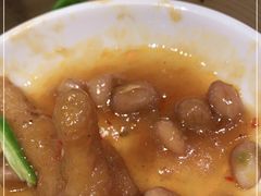 -南枝记