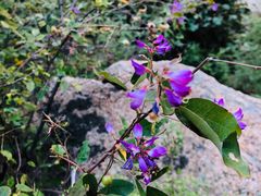 -碓臼峪自然风景区