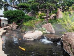 -罗红摄影艺术馆