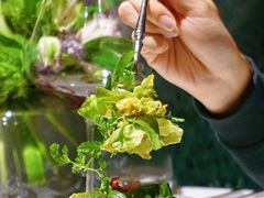 -Le Bistrot de Racine