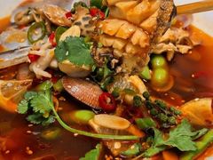 -金龙·打边炉(南京西路店)