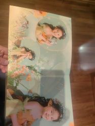 -倾城宝贝儿童摄影(浦东金谊店)