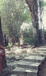 -三江森林温泉度假区