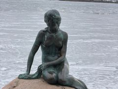-美人鱼